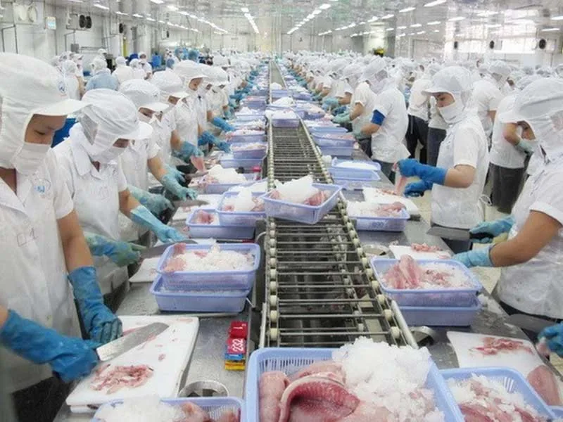 Phương pháp nâng cao giá trị chế biến thuỷ sản nhờ ứng dụng công nghệ cao